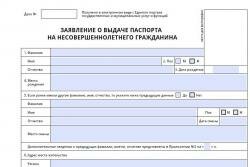 Как заполнить анкету на загранпаспорт для ребенка