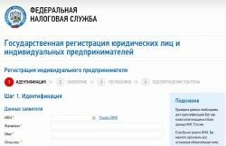 Регистрация ИП через интернет